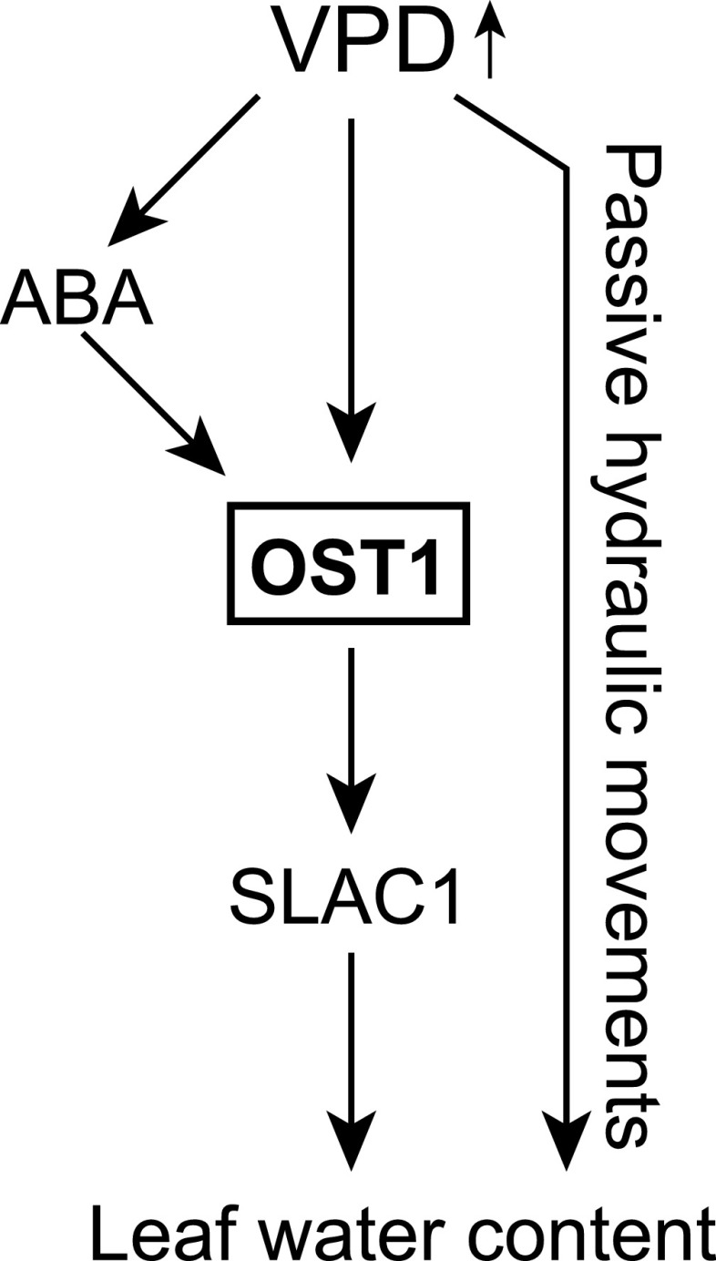 Figure 9.