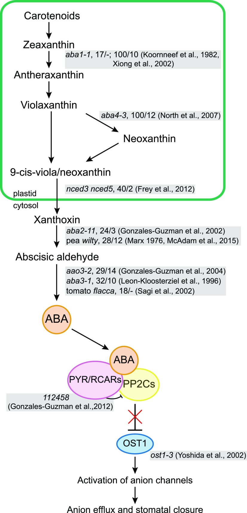 Figure 1.