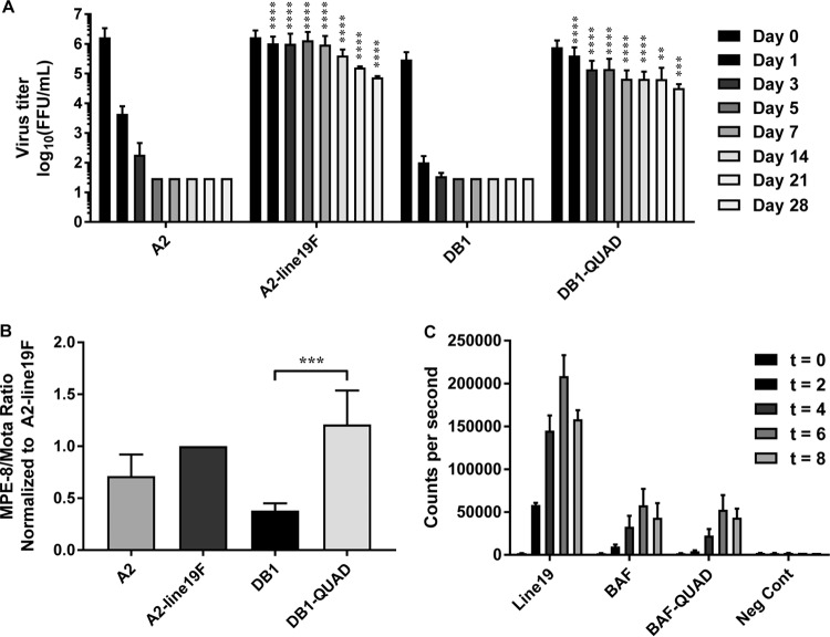 FIG 3