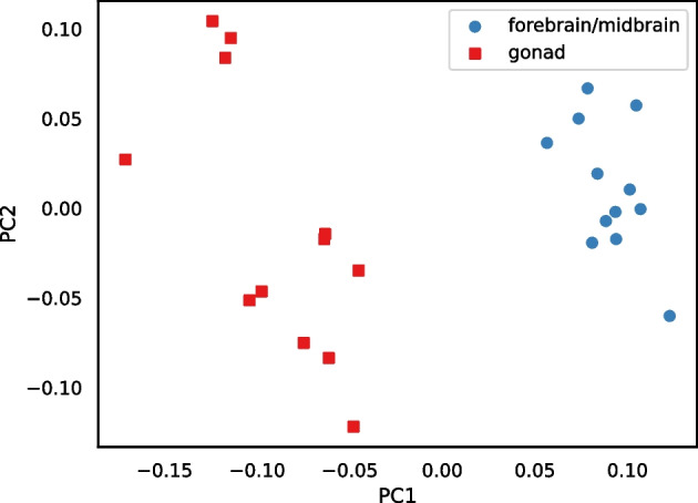 Fig. 21