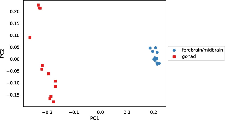 Fig. 19