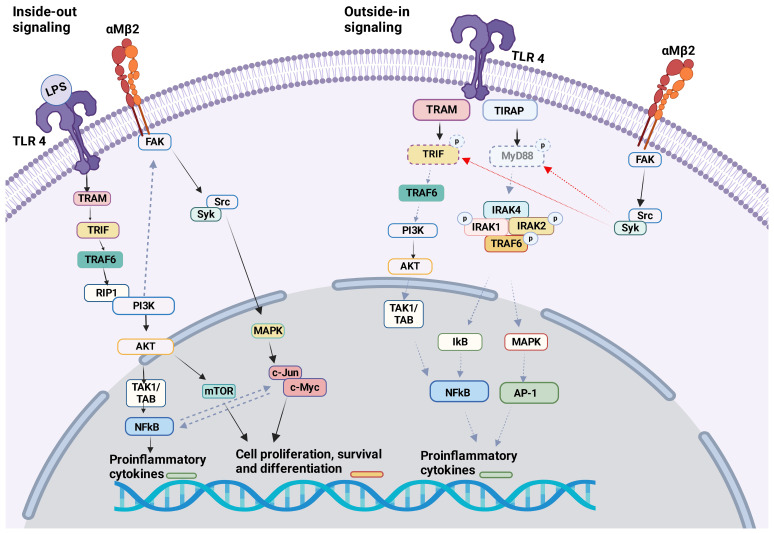 Figure 3