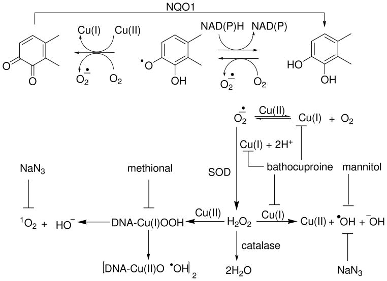 Scheme 2