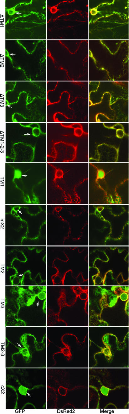 FIG. 6.