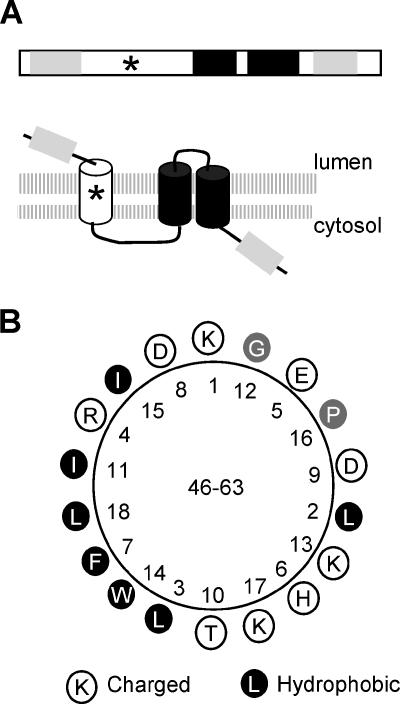 FIG. 8.