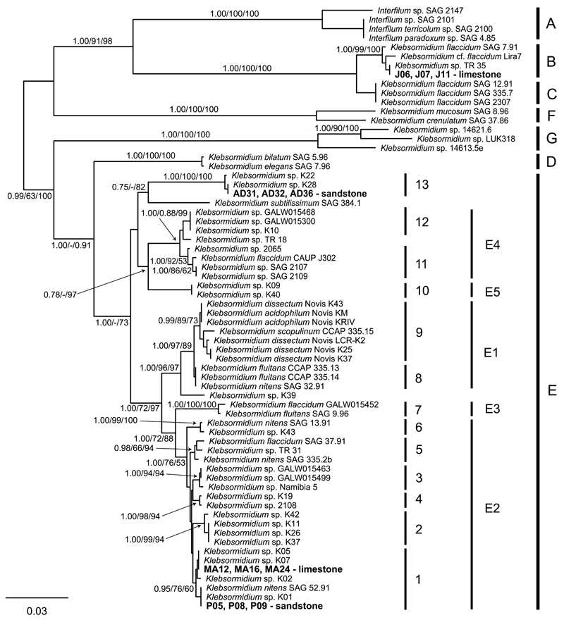 Fig 1