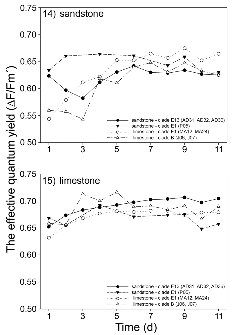 Fig 14–15