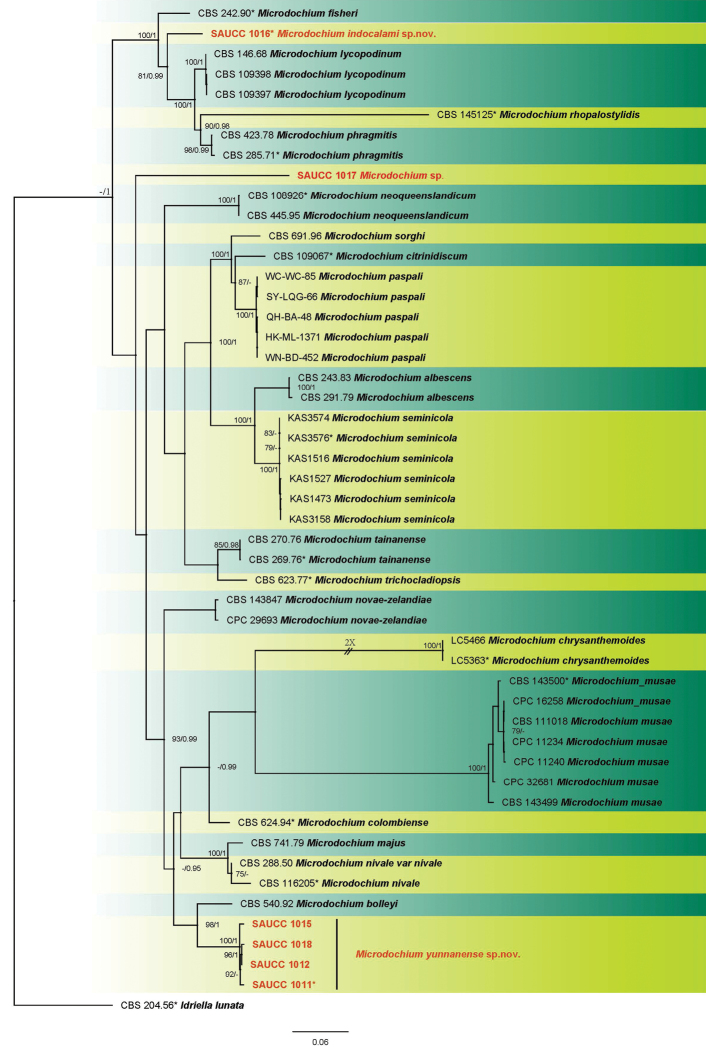 Figure 1.