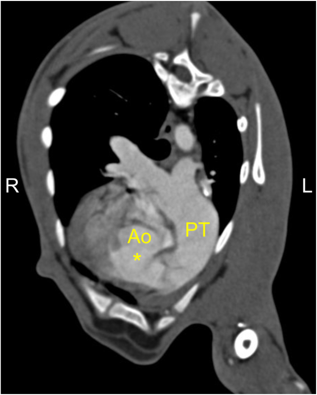 Figure 5