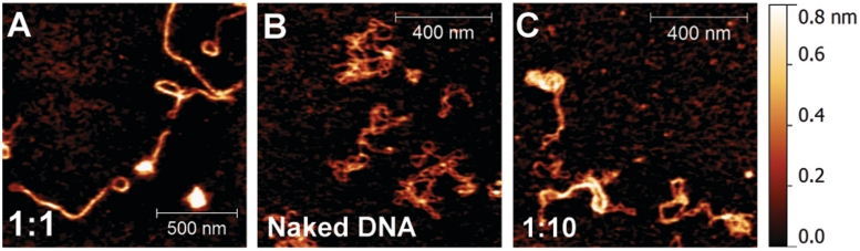 Figure 1.