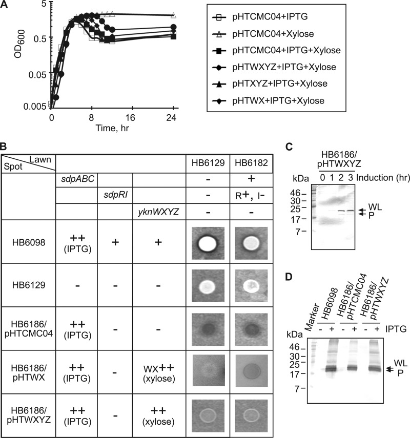 Fig 3