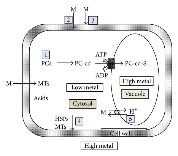 Figure 11