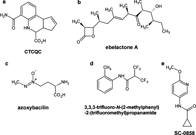 Fig. 3