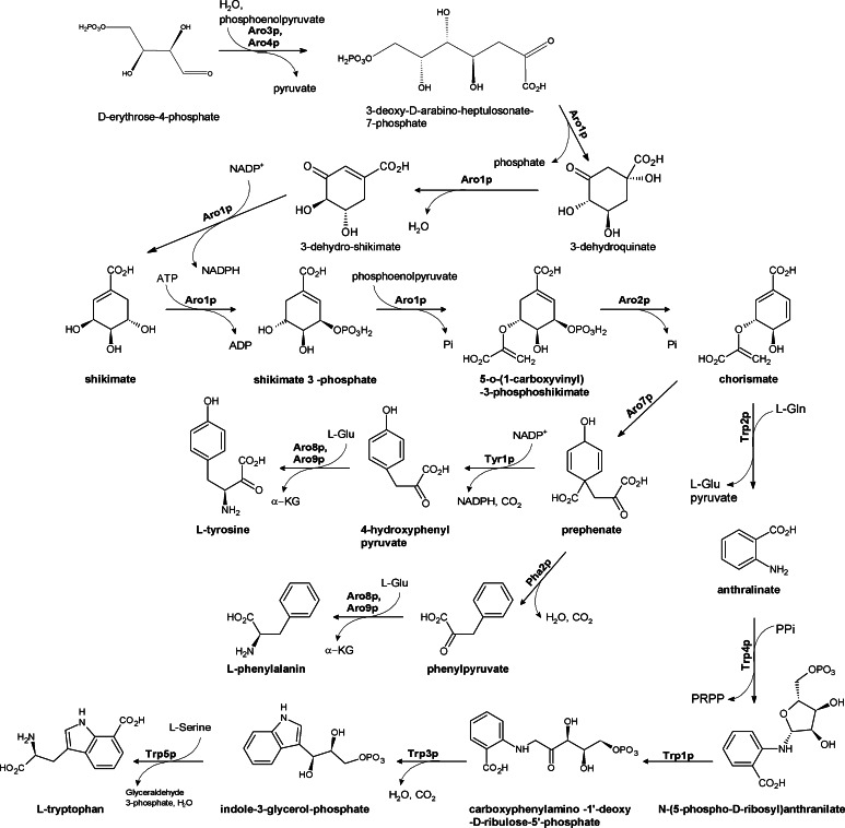 Fig. 9