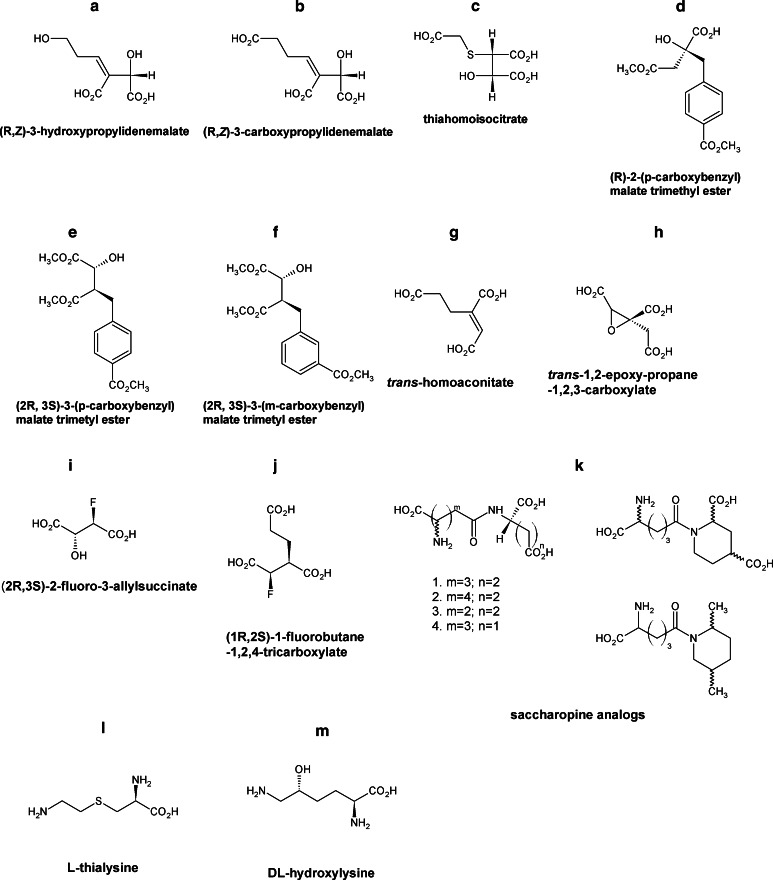 Fig. 5