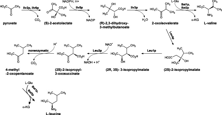 Fig. 6