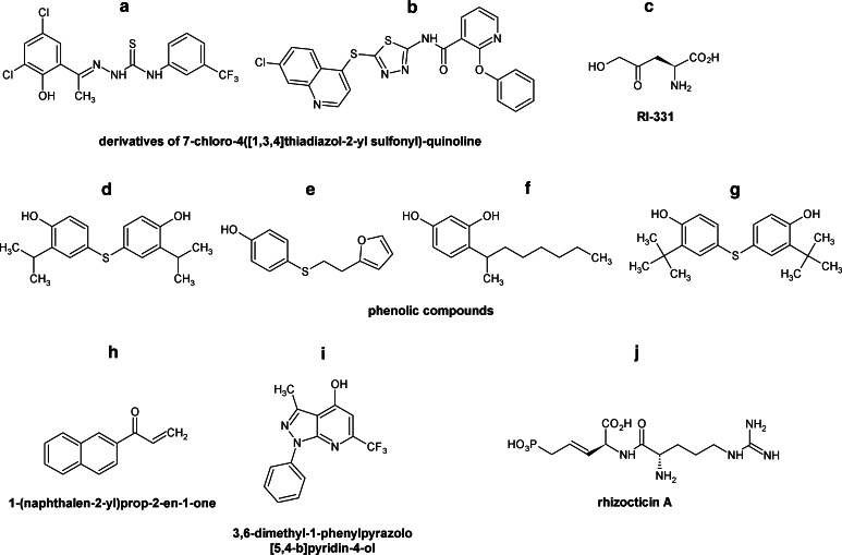 Fig. 2