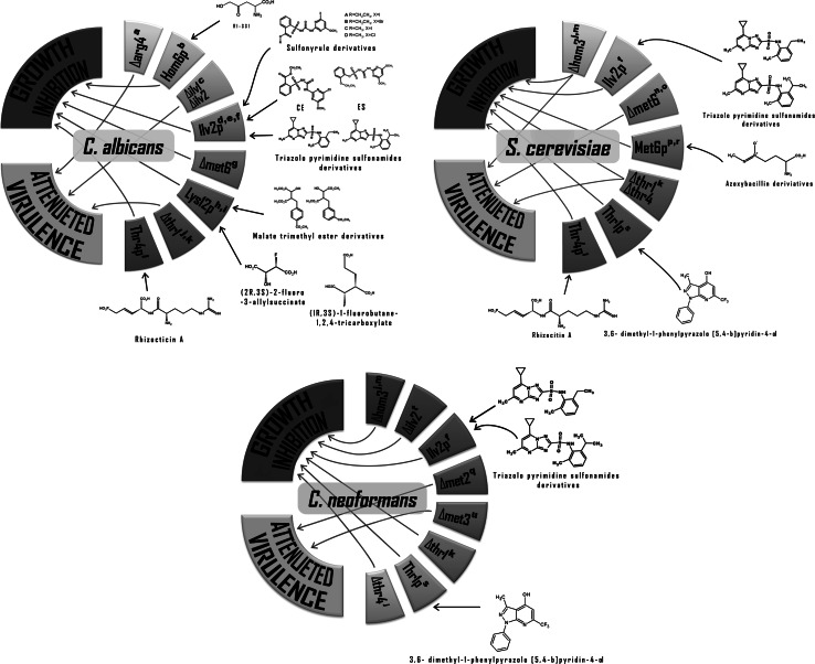 Fig. 12