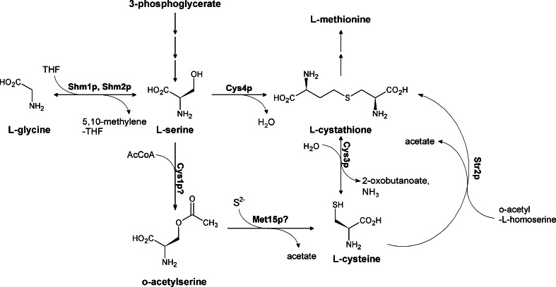 Fig. 11