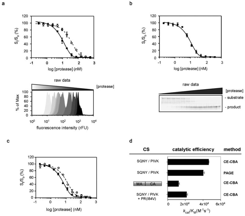 FIGURE 3