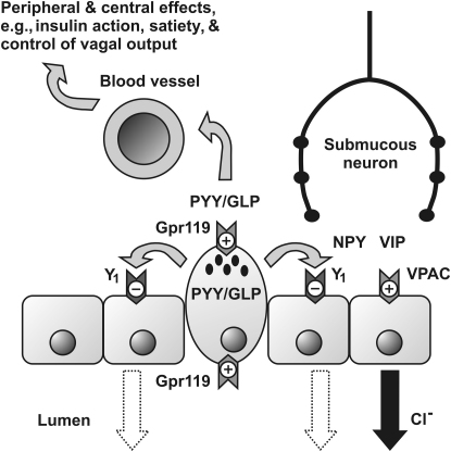 Figure 6