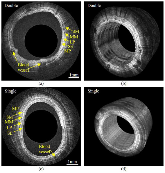 Fig. 4