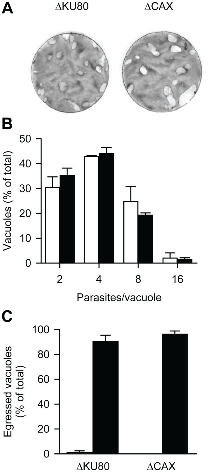 Figure 9