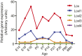 Fig. S3.