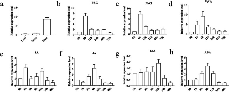 Fig. 3