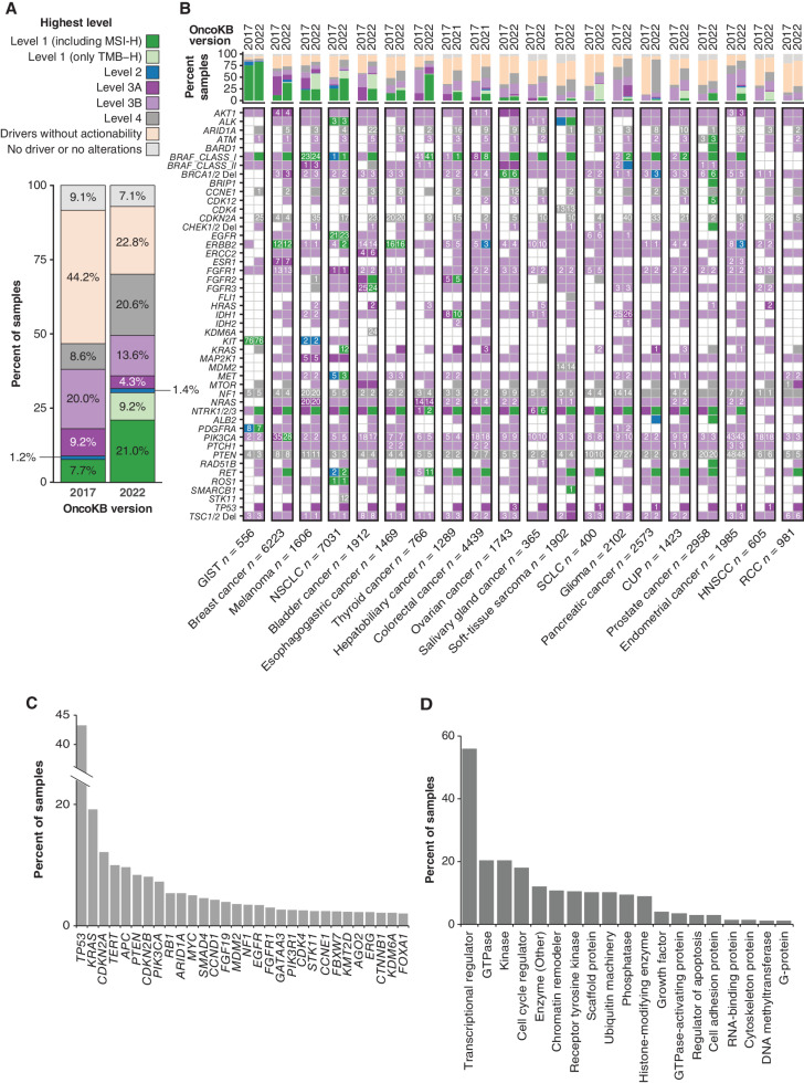Figure 2. Analysis of the clinical actionability of solid tumor samples in 66 tumor types from the MSK-IMPACT cohort (n  =  47,271). A, Frequency of actionable mutations pan-cancer in tumor samples annotated by OncoKB version March 2017 (2017v1.8) versus OncoKB version October 2022 (2022v3.17). B, Actionable mutations and associated gene prevalence per cancer types in 2017 versus 2022. HNSCC, squamous cell carcinoma of the head and neck; SCLC, small cell lung cancer; RCC, renal cell carcinoma. C and D is for samples with levels 3B, 4, or samples with nonactionable drivers, variants of unknown significance (VUS) or no alteration as highest actionability (n = 30,320). C, Percent of samples with an oncogenic alteration in the indicated gene. Genes altered in >2% of samples are shown. D, Percent of samples with an oncogenic alteration in at least one gene in the indicated gene category. Genes in each category are shown in Supplementary Table S4 and include genes altered in >1% (n = 68) of indicated samples.