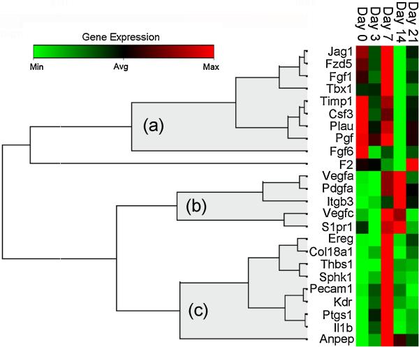 Figure 7