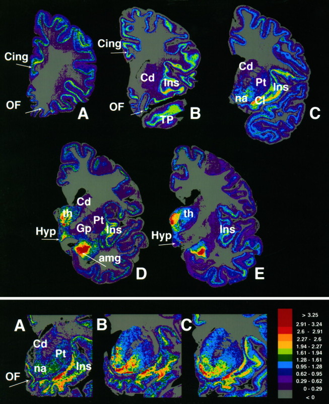 Fig. 2.