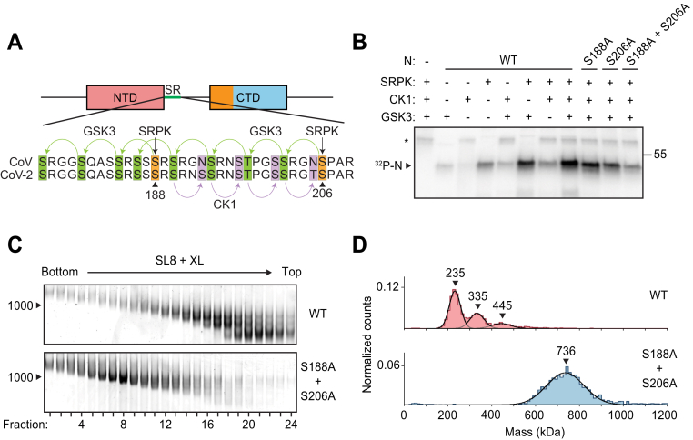 Figure 5