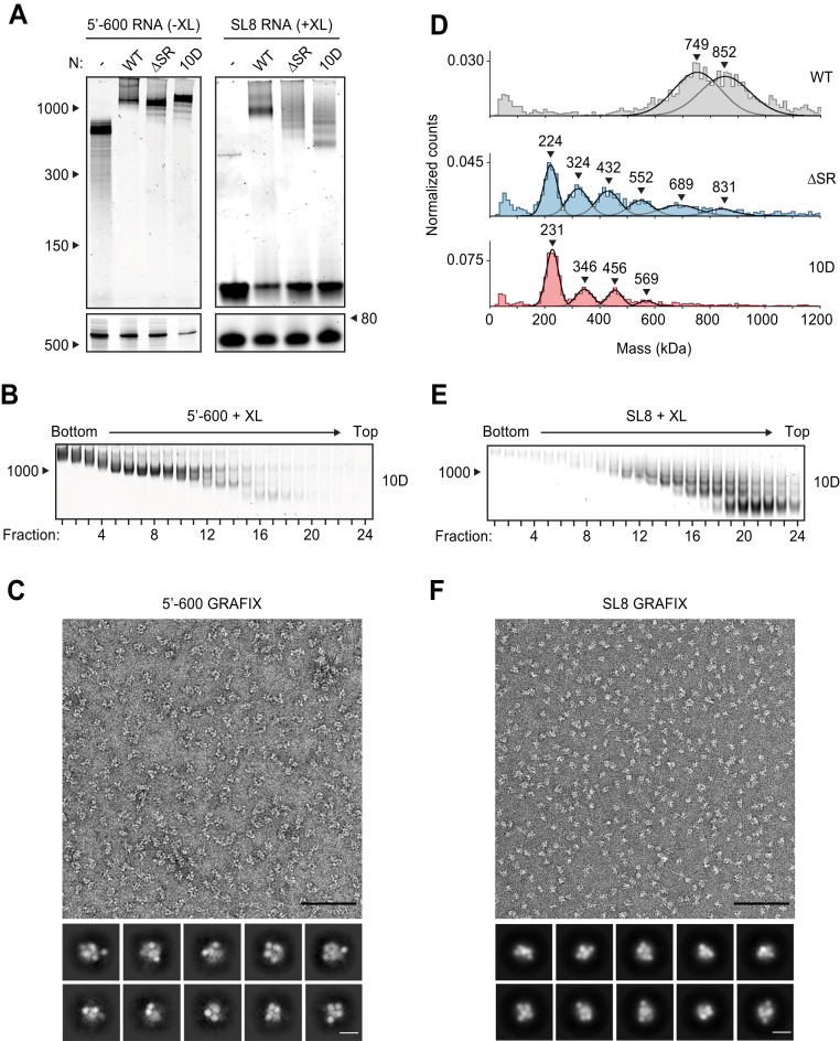 Figure 4