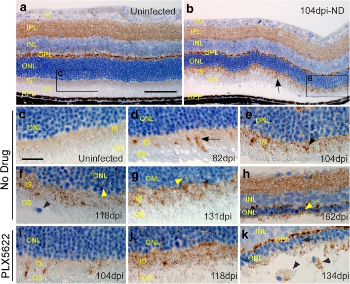 Fig. 9