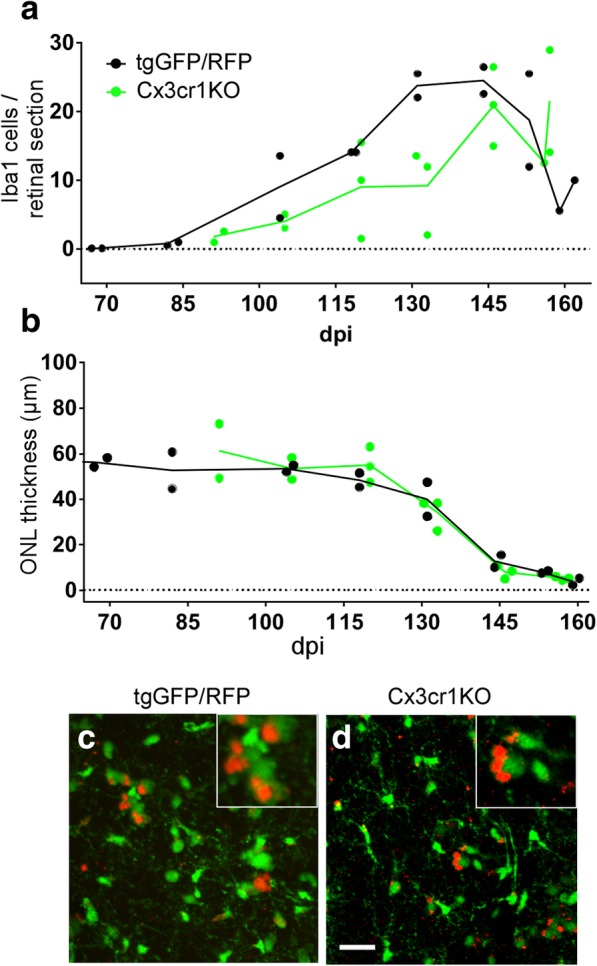 Fig. 8