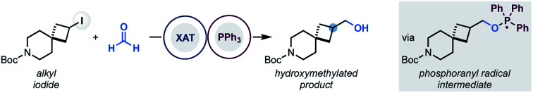 graphic file with name d1sc03083c-ga.jpg