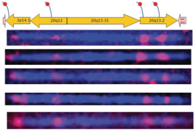 Figure 5.