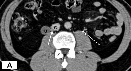 Figure 2: