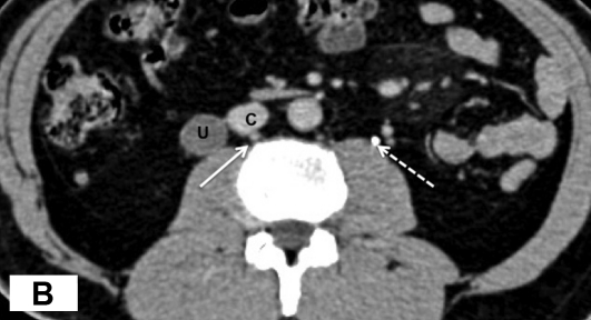 Figure 2: