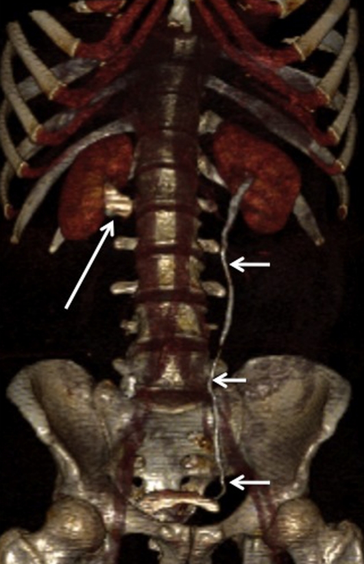 Figure 3: