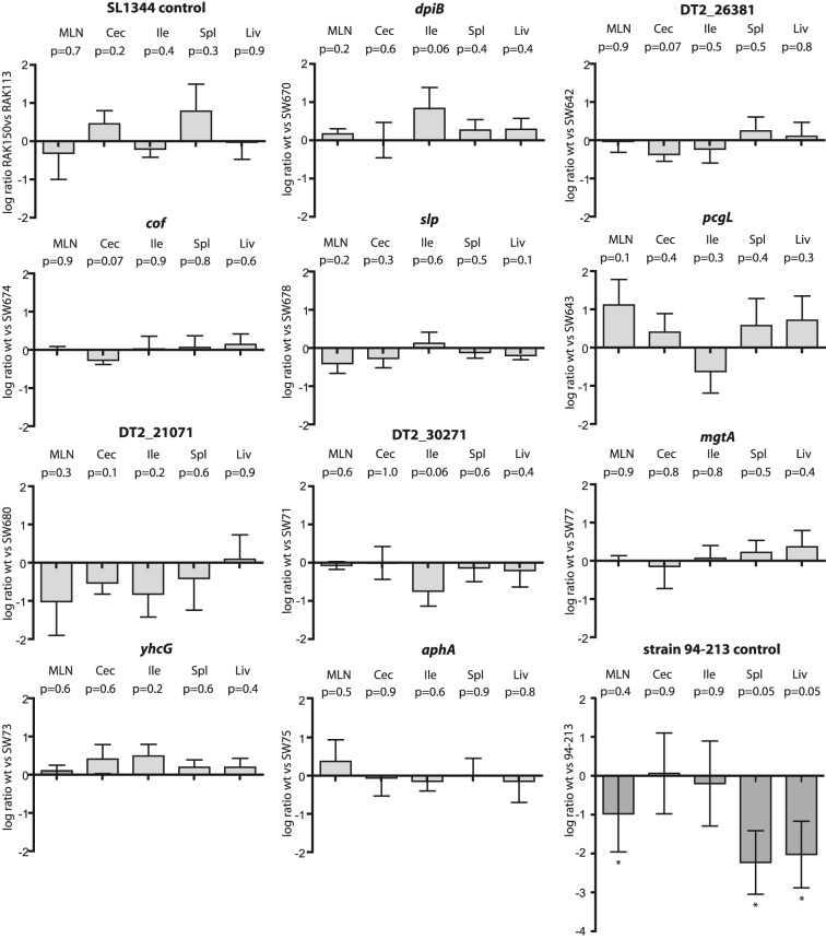 FIG 3 