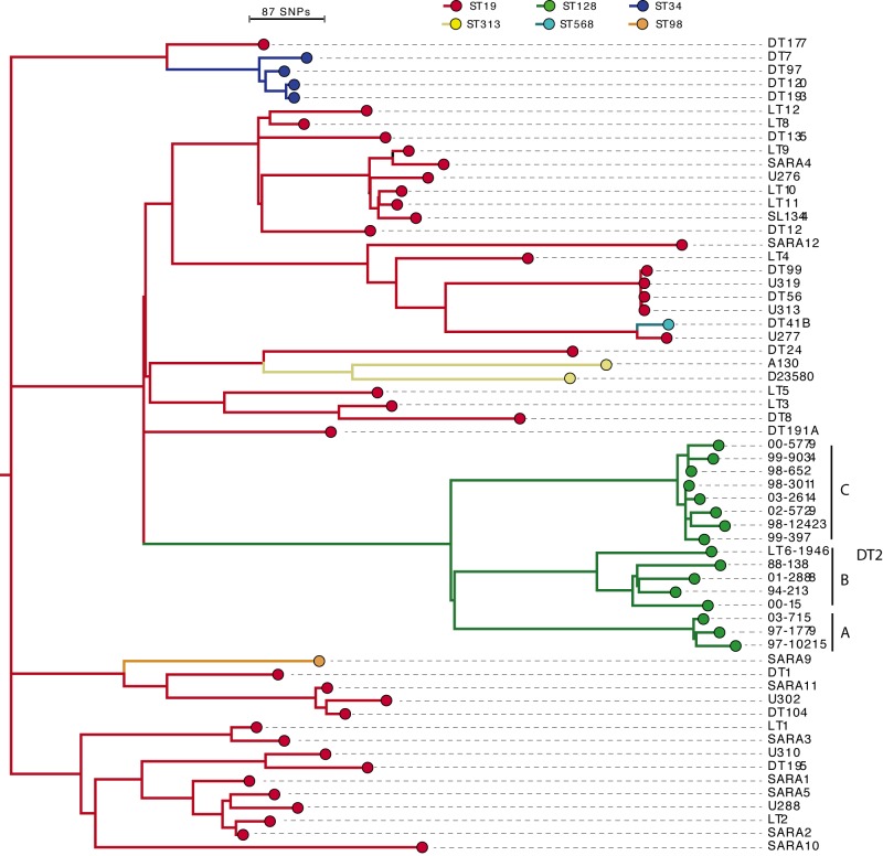 FIG 1