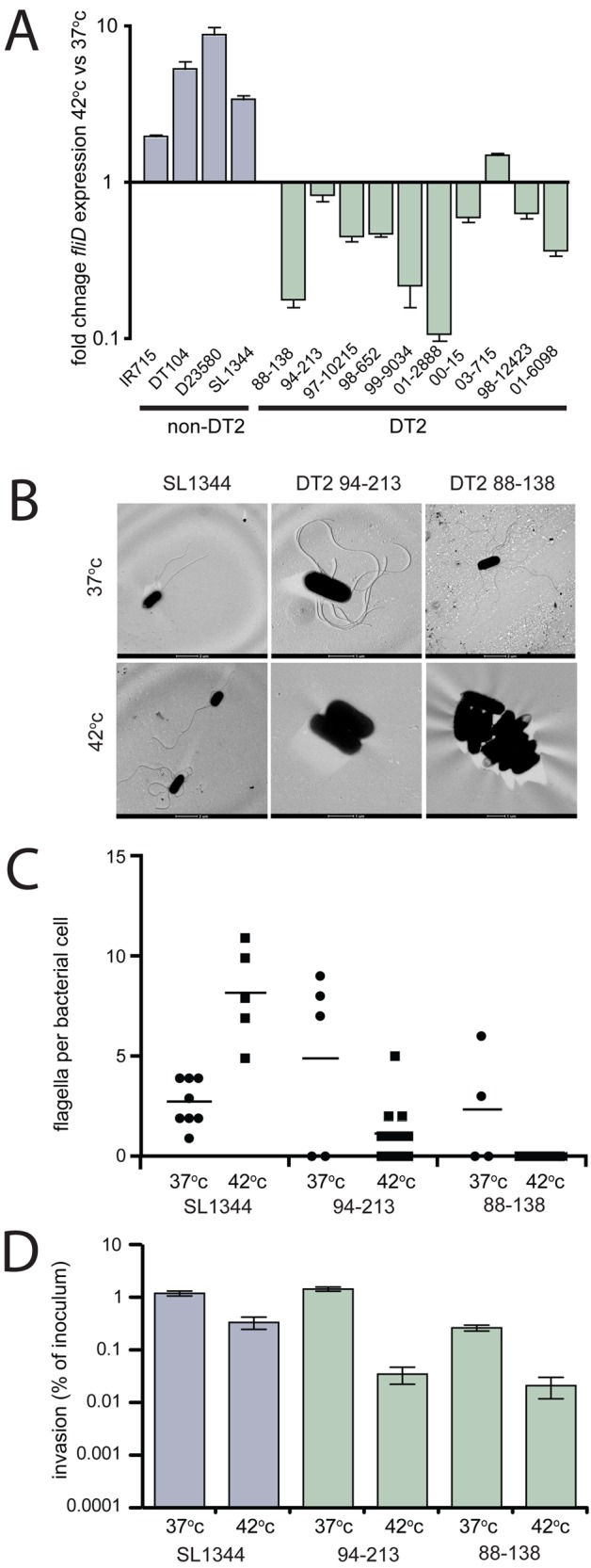 FIG 7 