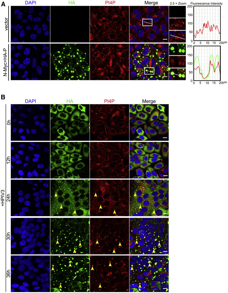 Figure 3