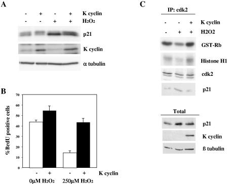 FIG. 7.