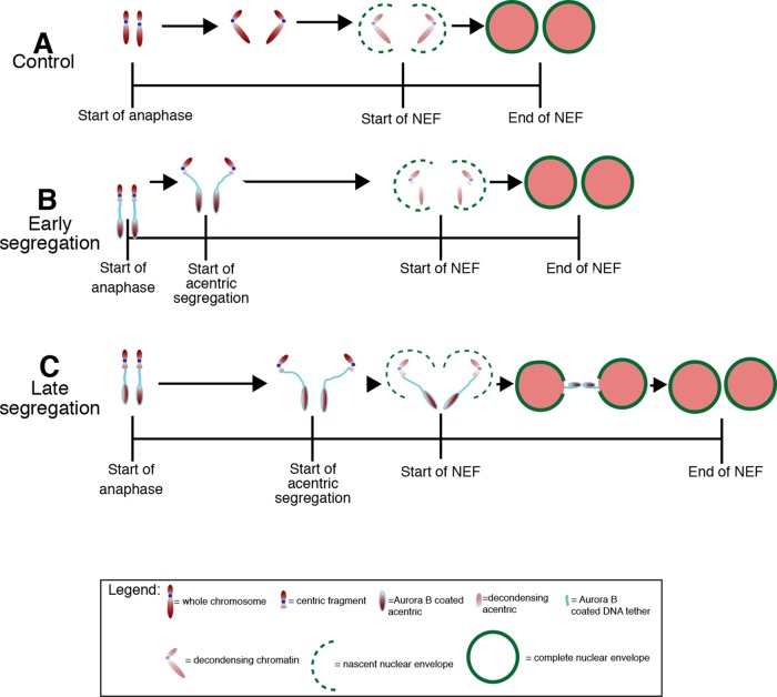 FIGURE 7: