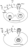 FIG. 4.