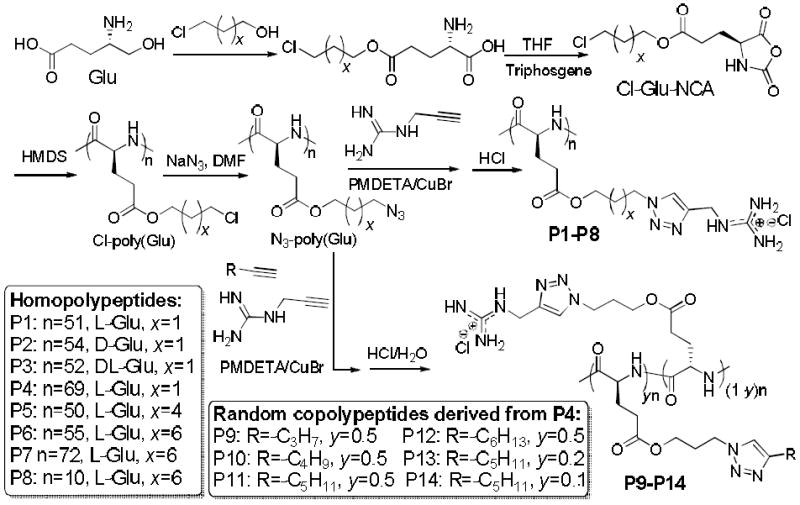 Scheme 2