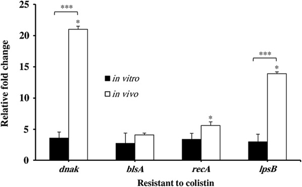 Fig. 4